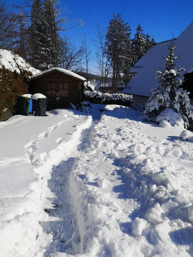 Apartment Sommer Winterberg Zewnętrze zdjęcie